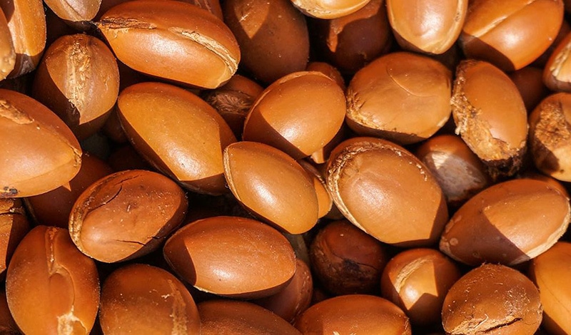 Argan Oil