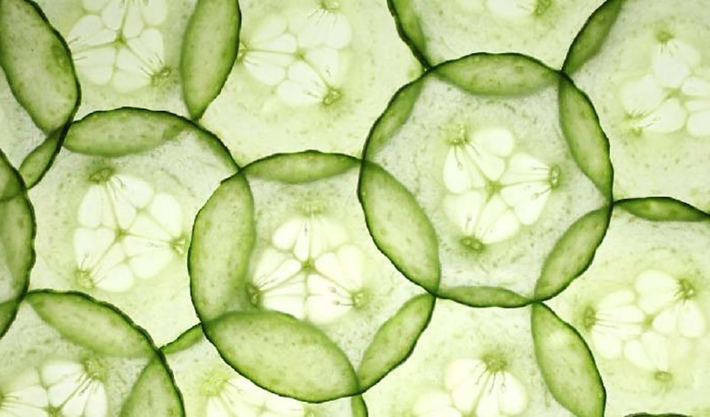 Cucumber