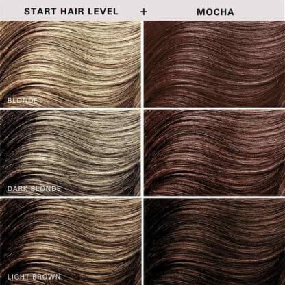 Kerachroma Natural Color + Clenditioner, Mocha, 355ml - Image 5
